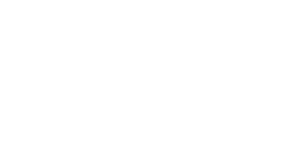 에이스 결제 logo